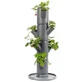Gusta Garden Erdbeerbaum Sissi Strawberry Starter, ca. B32/H77/T27 cm, Dunkelgrau