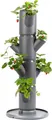 Gusta Garden Hochbeet SISSI STRAWBERRY starter (inkl. Wasserauslaufschutz & Wasserleitsystem), Erdbeerbaum mit 4 Etagen, anthrazit