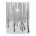 Lichtblick Rollo, Klemmfix, 45x150 cm, Birkenwald, weiß - weiss