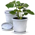 Plastard Blumentopf 3er Set 21 cm Durchmesser Weiß runder Pflanzkübel mit Untersetzer aus Kunststoff witterungsbeständiger Übertopf großer Pflanztopf Kräutertopf für Innen und Außen