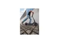 Segway Ninebot KickScooter E2 PRO D