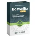 Boswellia Kapseln