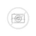 Allwetterreifen Delmax X-Weather 2 4S 3PMSF 185/60 R15 84H | 18224