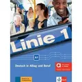 Linie 1 A1 - Hybride Ausgabe allango
