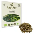 500g BIO Keimsaat für Sprossen Koriander Samen Keimsprossen Microgreens Vegan
