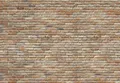 Komar Fototapete Backstein 368 x 254 cm  Fototapete