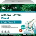 Hübner arthoro arthro | 10g | 60 Direktsticks