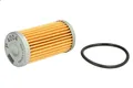 Kraftstofffilter MANN-FILTER P 4004 x AIXAM ROADLINE 0.6 2009-2012