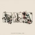 SIA "COLOUR OF THE SMALL" CD NEU