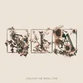 Colour The Small One | Sia | Deutsch | Audio-CD | CD | 2024 | EAN 602498661031