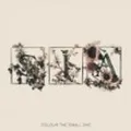 Sia: Sia: Colour The Small One -   - (CD / C)