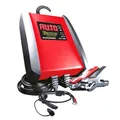 Banner Accucharger 10A/12V, Professionelles Werkstatt-Ladegerät