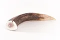 mascota vital - Hirsch-Geweihstücke