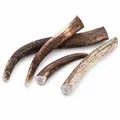 mascota vital - Hirschgeweih - 100% Hirschgeweih - Ideal für die Zahnpflege - 100% Natürlich - Geweih - Kauknochen - Hundespielzeug - Geweih vom Rothirsch (XXL (160-250g), ganz)