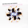 Vinile - Eric Powa B Feat Samy Birnbach - Pulsating Mind Reprise  - N/a -D- Neu