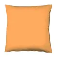 fleuresse 9200 Colours Interlock Jersey Kissenbezug aus 100% Baumwolle, Oekotex Standard 100, 35 x 40 cm, orange