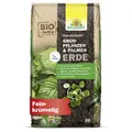 Neudorff NeudoHum Grünpflanzen und PalmenErde 20L Grünpflanzenerde Palmen Erde