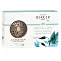 Autoduft Set Mat Silver Aroma Happy Duft Maison Berger