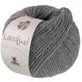 Wolle Kreativ! Lana Grossa - Landlust Naturwolle Fb. 9 grau 50 g