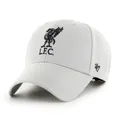 Liverpool FC Basecap Cap Baseballcap MVP grau LFC 195000534669 Kappe