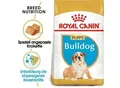 ROYAL CANIN Bulldog Puppy 12 kg