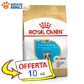 Royal Canin Hund → Puppy Bulldogge Französisch - 10 KG - Unterstützung Für Hund,