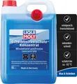 Liqui Moly Scheibenfrostschutz Konzentrat 5 Liter Winter Scheiben Frostschutz