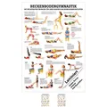 Sport-Tec Beckenbodengymnastik Mini-Poster Anatomie 34x24 cm medizinische Lehrmittel