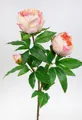 Kunstblume Pfingstrose Nature 68cm GA Seidenblumen künstliche Blumen Päonie, Seidenblumen Roß, Höhe 68 cm, Apricot-Peach