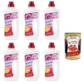 Chanteclair- Sgrassatore Pavimenti Bodenentfetter Marseille und Zitrone 6x 750ml+ Italian Gourmet polpa 400g