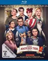 Die Schule der magischen Tiere 4 Tomomi Themann