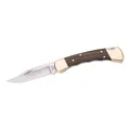 Buck Fold.Hunter 110 FG m.Etui Messer