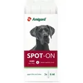 3x6 ml Amigard Spot-on große Hunde