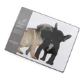 Mars & More 4-teiliges Tischset-Set, Mops und französische Bulldogge