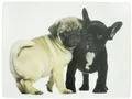 4er Set Tischsets Unterseite aus Kork Mops Französische Bulldogge Mars & More