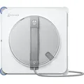 Ecovacs WINBOT W2S