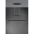 Trio R32043132 LED Hängende Deckenleuchte Paros 1x21w + 55w | SMD | 3000lm + 1500lm | 3000K - Ober- und Unterbeleuchtung, 3-Phasen-Dimmen, einstellbare Höhe, mattschwarz