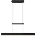 Reality Leuchten LED-Pendelleuchte Paros Alu, Eisen, Stahl & Metall Schwarz