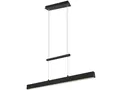 REALITY LED-Pendelleuchte Paros R32043105 schwarz, 1 x LED 22 W, 2500 lm, 2 x 5 W, 2 x 600 lm R32043132