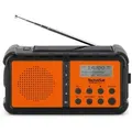 TechniSat DAB+ Digitalradio TECHNIRADIOSOLAR2