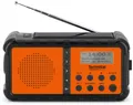 TechniSat DAB+ Digitalradio TECHNIRADIOSOLAR2 Radios 0000/3996 DAB+