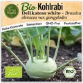 Kohlrabi Samen (BIO) - 50 Samen Gemüsesamen Kohlrabisamen Delikatess White