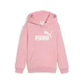 ESS No. 1 Logo Hoodie FL PS