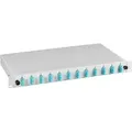 EFB-Elektronik Spleißbox SC 50/125μ OM3 nicht ausziehbar 24 Pigtails/12 Kuppl