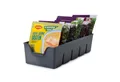 KONZEPT Gewürzregal Gewürz Organizer für Schrank, Gewürzbehälter aus Plastik, 1-tlg., Gewürzorganiser Küche
