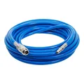 BGS Druckluftschlauch 10 m