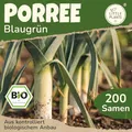 Little Plants BIO Porree Samen 200 Blaugrün Porreesamen Gemüsesamen Samenfest für Gemüsegarten Gemüse Samen für Küche, Balkon, Hochbeet und Garten