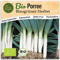 Porree Samen (BIO) - 200 Samen Gemüsesamen Porreesamen Blaugrün