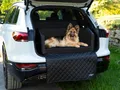 CopcoPet Hundebox Auto Kofferraumschutz Hund mit ladekantenschutz kofferraum【Mit Tasche】kofferraum schutzmatte herausnehmbar - Hunde Autositz mit Anschnallsystem, hundetransportbox 100x80x38cm Schwarz