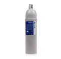 Brita Reinheitswasserfilterkartusche C300 Quell bis zu (4000 Lite